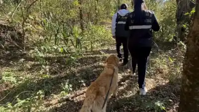 Agustín desapareció en Tumbaya y hasta perros de Catamarca lo buscaron: qué encontraron