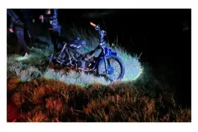 Iban en moto por una ruta de Corrientes y una manada les salió al cruce: el final que nadie esperaba