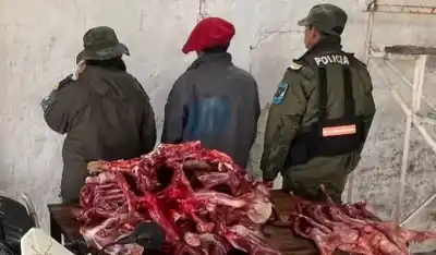 Tiraban bultos en la ruta para no ser vistos: lo que había adentro los delató