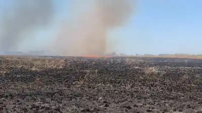 Incendio en un predio de 40 hectáreas: el detalle que complicó todo en General Pico