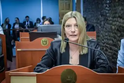 Alicia Paz puso un límite a la posible alianza UCR-La Libertad Avanza: "No podemos hacerlo con cualquiera"