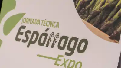 El espárrago del Médano de Oro se juega su futuro en una jornada clave: lo que se viene