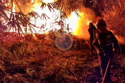 Incendio en un depósito de madera de San José: las llamas llegaron muy alto y algo obligó a pedir ayuda a otros cuarteles
