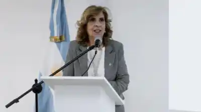 Una jueza había frenado la Ley Penal Juvenil en Buenos Aires: la Cámara le salió al cruce