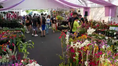 Moreno le pone fecha a su fiesta más esperada y hay un cierre que nadie se quiere perder