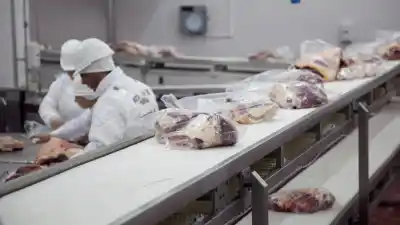 El cupo de carne a EE.UU. se agotó antes de tiempo: el dato que sorprendió a los exportadores