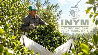 Misiones advierte que Nación quiere vaciar al INYM: "Es el golpe final"