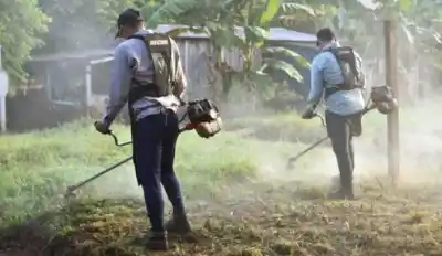 Misiones arrancó la temporada de dengue sin casos confirmados, pero hay un dato que enciende las alarmas