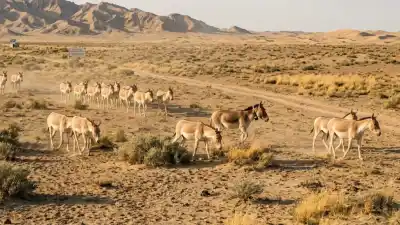 Soltaron 28 burros en el desierto y 40 años después el paisaje ya no es el mismo: el hallazgo que sorprendió a los científicos