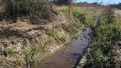 Un cuerpo sin vida apareció en un canal de riego de Pampa Blanca: lo que se sabe