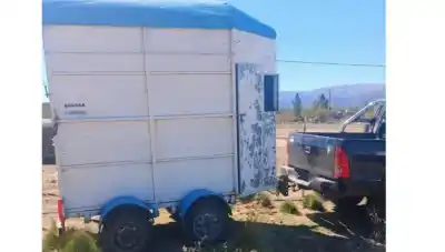 Intentaba cargar un caballo en un tráiler y terminó internada en el Hospital Central