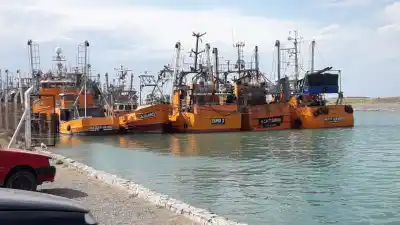 La pesca mueve Chubut: 25 mil empleos y una obra clave que espera licitación