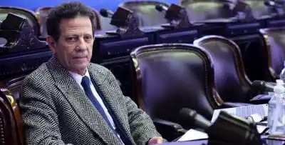 Sahad habló del futuro del PRO y encendió el debate interno: "Todavía no está definido cómo"