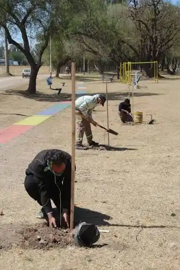 Río Segundo se prepara para una jornada verde: plantarán 300 árboles nativos en la costanera
