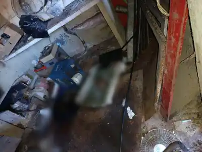 Un fuerte olor los llevó hasta un terreno de Posadas: lo que había adentro