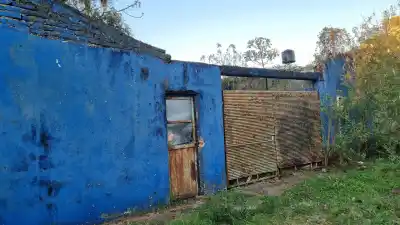 Salía todos los días con sus perros: un día dejaron de verlo y lo que hallaron adentro conmocionó al barrio