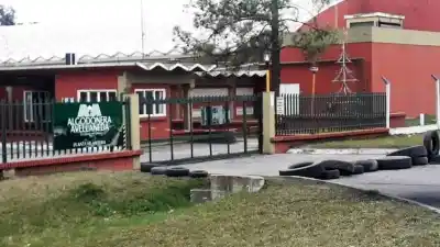 Algodonera Avellaneda busca dueño: quién puede quedarse con la textil de los Vicentin