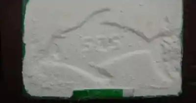 Una camioneta sin patente huyó a toda velocidad por una ruta salteña: lo que dejaron atrás