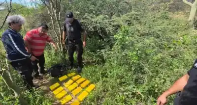Operativo Lapacho: Dos jóvenes huyen al monte y dejan atrás un cargamento que sorprendió a la policía