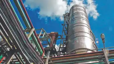 El biocombustible que la Argentina produce cada vez menos mientras el mundo bate récords