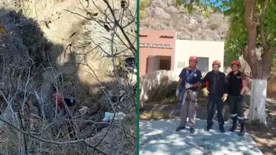 Cayó a un barranco en el Cerro de Belén y sus dueños no podían llegar: la maniobra que lo salvó