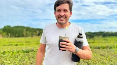 Quieren sacarle 10 puntos de palo a la yerba mate y los industriales ya afilan los lápices