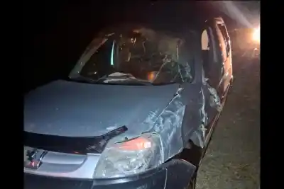 Se durmió al volante en plena ruta y el viaje terminó de la peor manera