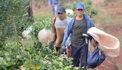 Les pidieron no hablar del precio de la yerba, pero la reunión terminó de otra manera