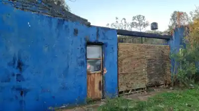 Lo vieron salir todas las mañanas con sus perros: un día dejó de aparecer y la escena que hallaron adentro conmocionó al barrio