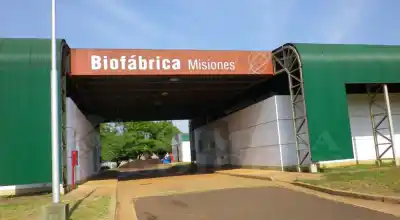Misiones quiere dejar de ser provincia y convertirse en el centro biotecnológico del Mercosur