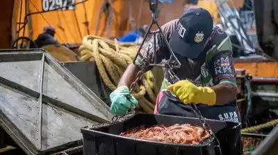 Cien puestos de trabajo en Madryn: la empresa recibió una cifra que nadie esperaba