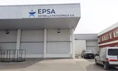 Echaron a 27 trabajadores de una pesquera de Puerto Madryn: qué hay detrás de la decisión