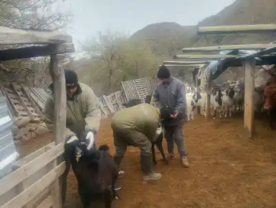 Una recorrida por el interior de San Luis que terminó con un dato clave para los productores
