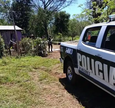 La camioneta ya se iba de la casa y el nene de 7 años quedó tendido en el patio