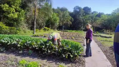 Inspeccionan una planta de efluentes en Tucumán: qué encontraron los técnicos