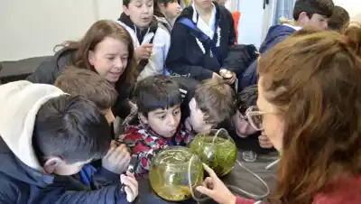 2000 chicos en Bariloche vieron algo en un microscopio que no olvidarán