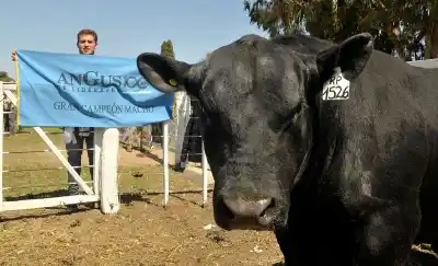 Ingeniero Luiggi se prepara para tres días a puro campo: lo que nadie se quiere perder