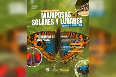 Merlo se llena de mariposas: la muestra que nadie quiere perderse abre con dos charlas imperdibles