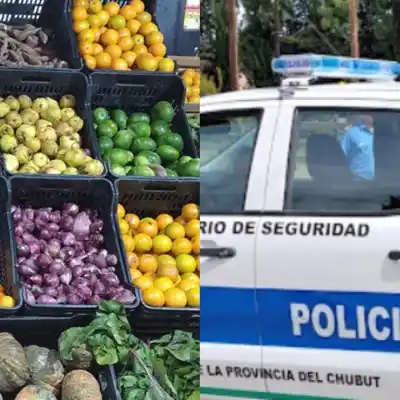 Entraron a su verdulería en Trelew, le pusieron el arma en la cabeza y huyeron con un botín inesperado