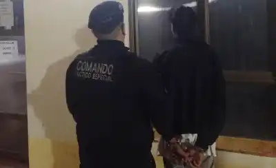 Intentó abrir un utilitario en Posadas y las cámaras lo delataron: terminó escondido entre los yuyos