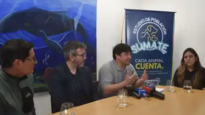 Caleta Olivia sale a contar los perros que hay en la ciudad: ¿alcanzarán los voluntarios?