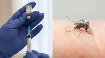 Seis puntos en Lanús para vacunarse contra el dengue: quiénes pueden y quiénes no