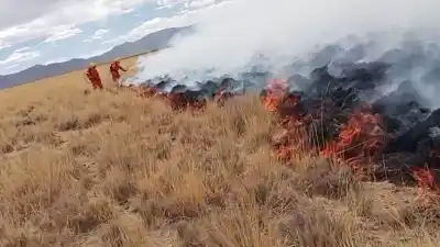 Quemó tolas en el campo y el fuego se le fue de las manos: ya son tres los incendios en la zona