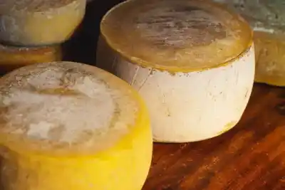 Junín de los Andes se prepara para la Fiesta del Queso Cordillerano: lo que se viene