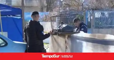 Dos allanamientos nocturnos en el barrio Güemes y una mujer detenida: el dato que apareció con el reactivo Bluestar