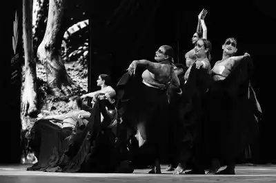 Nadie los vio venir: nueve bailarines de Alem se metieron en la final internacional de danza