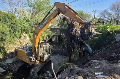 Tiraron heladeras y lavarropas al arroyo: lo que sacaron del cauce deja a la vista un problema mayor