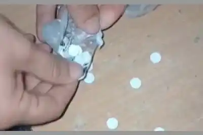 Llevó un bolso para su hermano detenido y la policía encontró algo adentro que la complicó