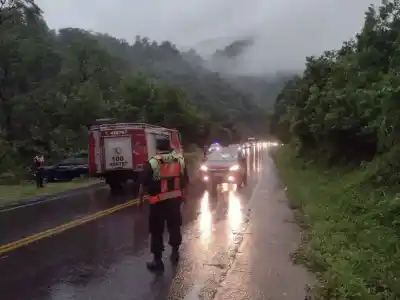 Cayó un árbol encima de tres vehículos en la Ruta 307