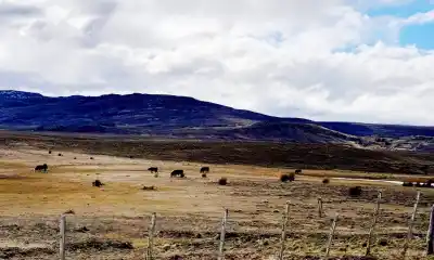 El campo está en terapia intensiva y el nuevo ministro ya tiene un plan para sacarlo de ahí